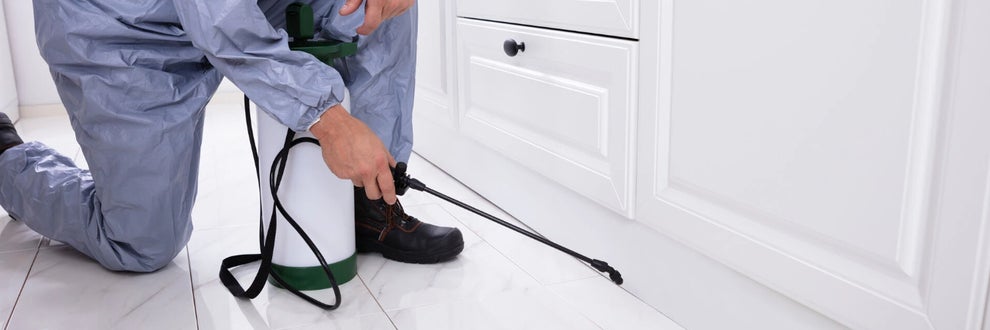 クリーンキング1978の画像